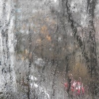 Rain - View from my window